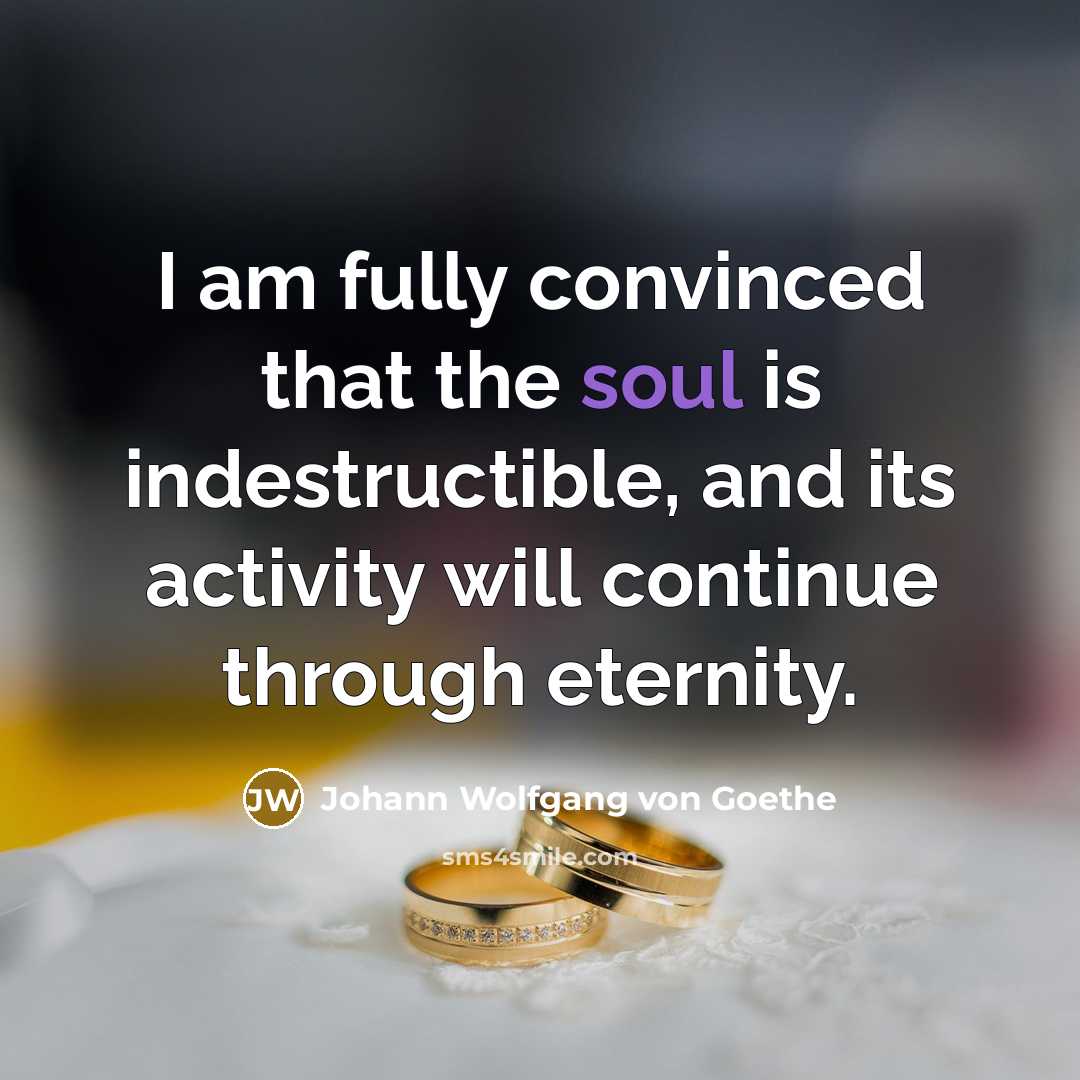 “I am fully convinced that the soul is indestructible, and…” quote by Johann Wolfgang von Goethe