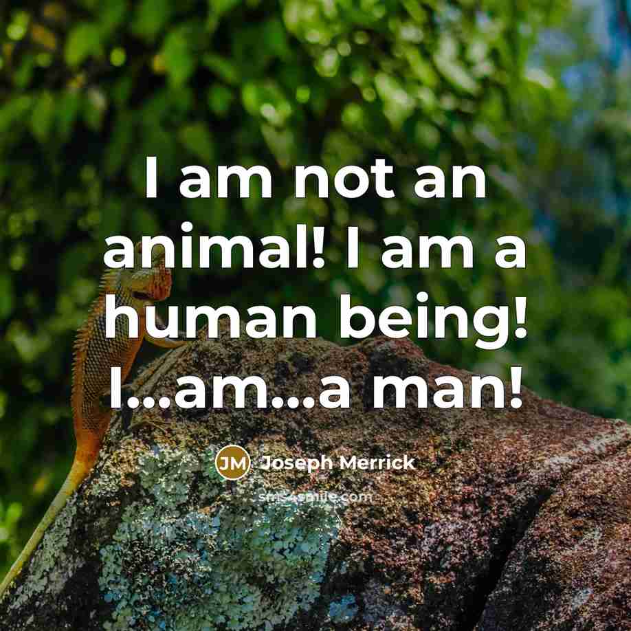 “I am not an animal! I am a human being!…” quote by Joseph Merrick
