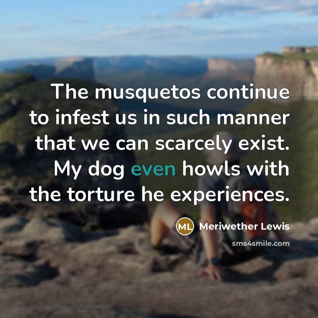 “The musquetos continue to infest us in such manner that…” quote by Meriwether Lewis