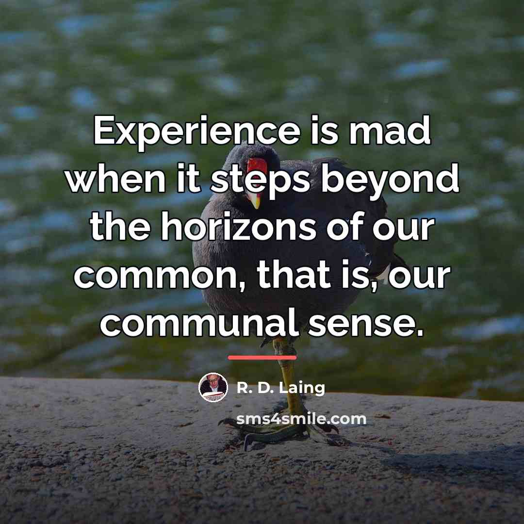 “Experience is mad when it steps beyond the horizons of…” quote by R. D. Laing