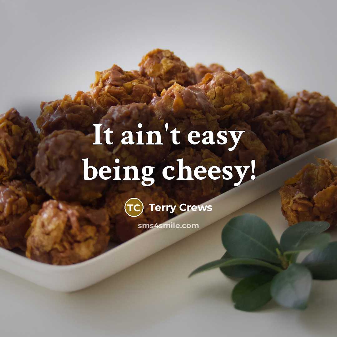 “It ain't easy being cheesy!…” quote by Terry Crews