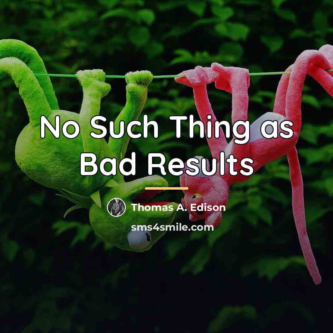 “No Such Thing as Bad Results…” quote by Thomas A. Edison