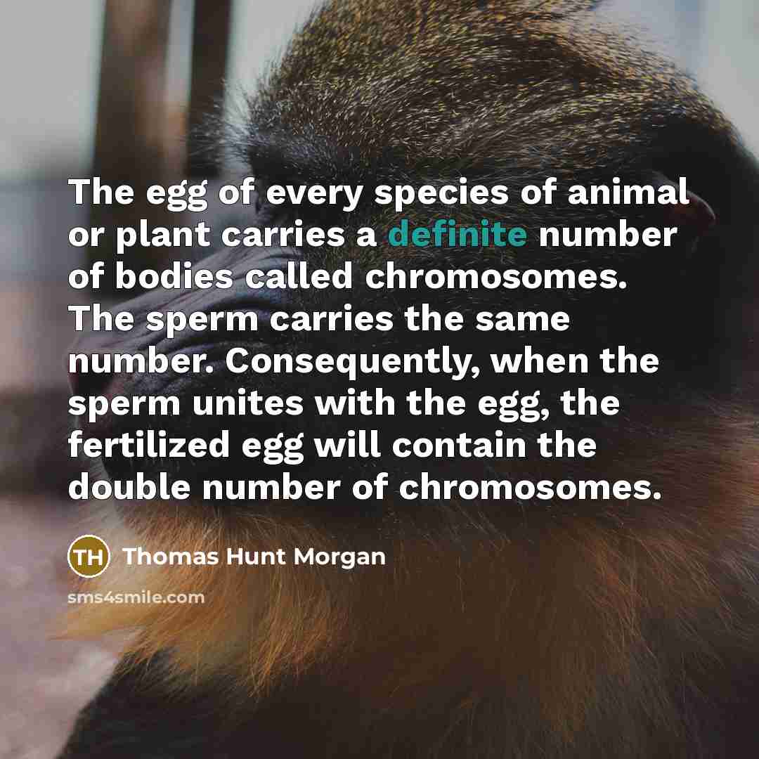 “The egg of every species of animal or plant carries…” quote by Thomas Hunt Morgan