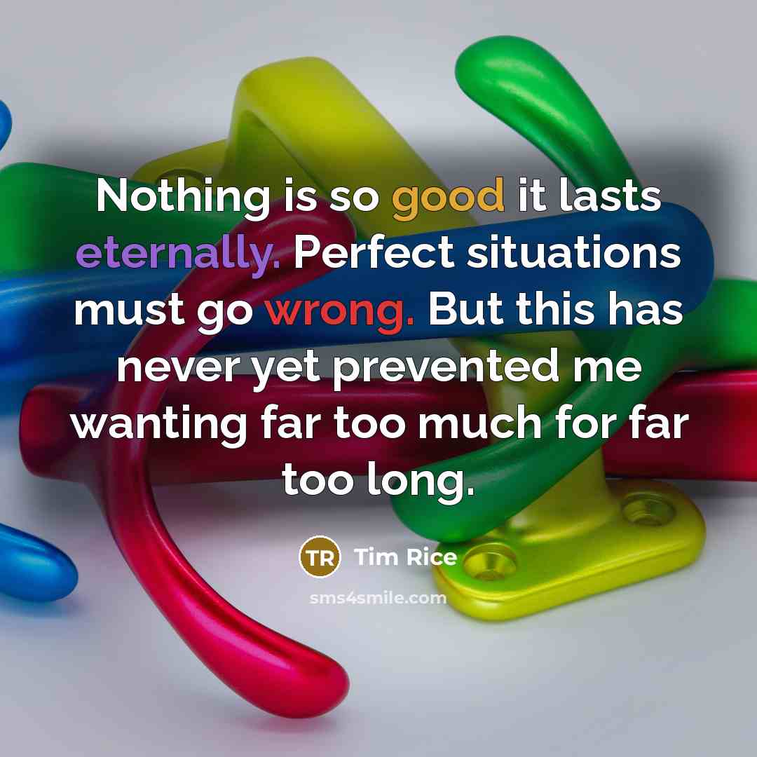 “Nothing is so good it lasts eternally. Perfect situations must go wrong. But this has never yet prevented me wanting far too much for far too long.” quote by Tim Rice