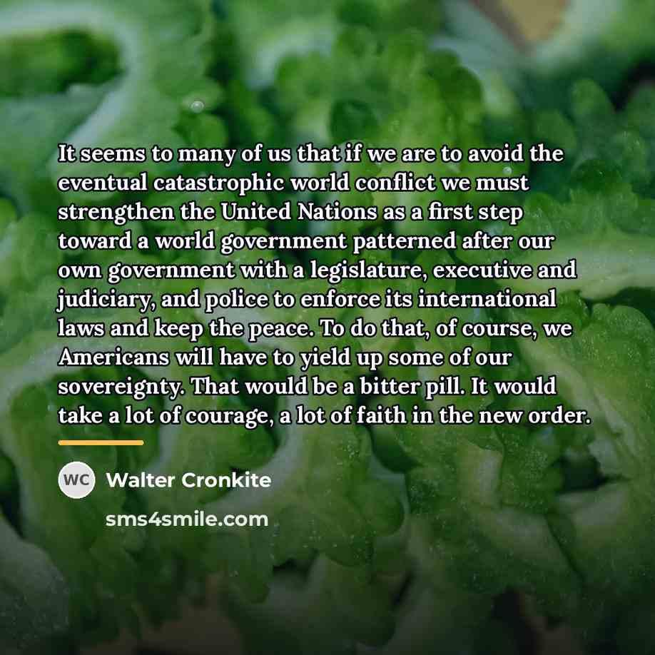 “It seems to many of us that if we are…” quote by Walter Cronkite
