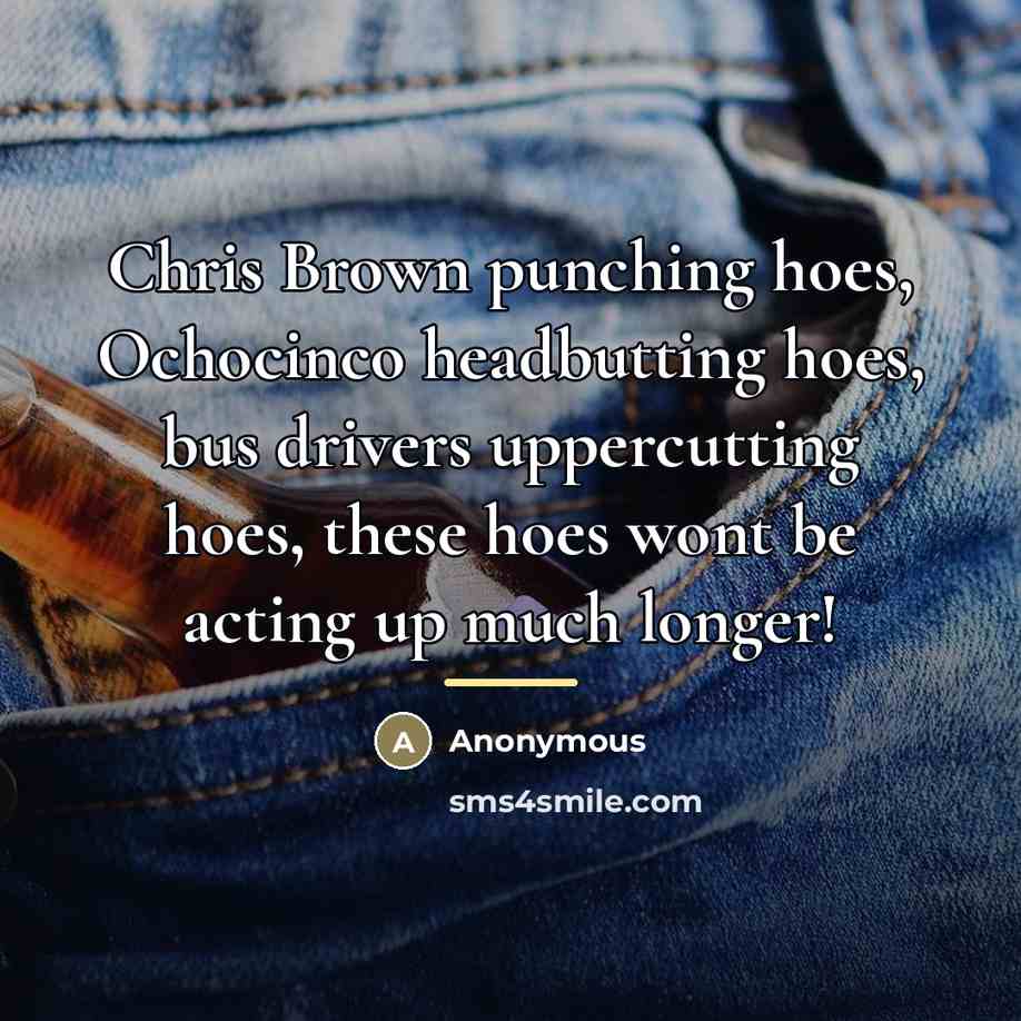 “Chris Brown punching hoes, Ochocinco headbutting hoes, bus drivers uppercutting…” quote by Anonymous