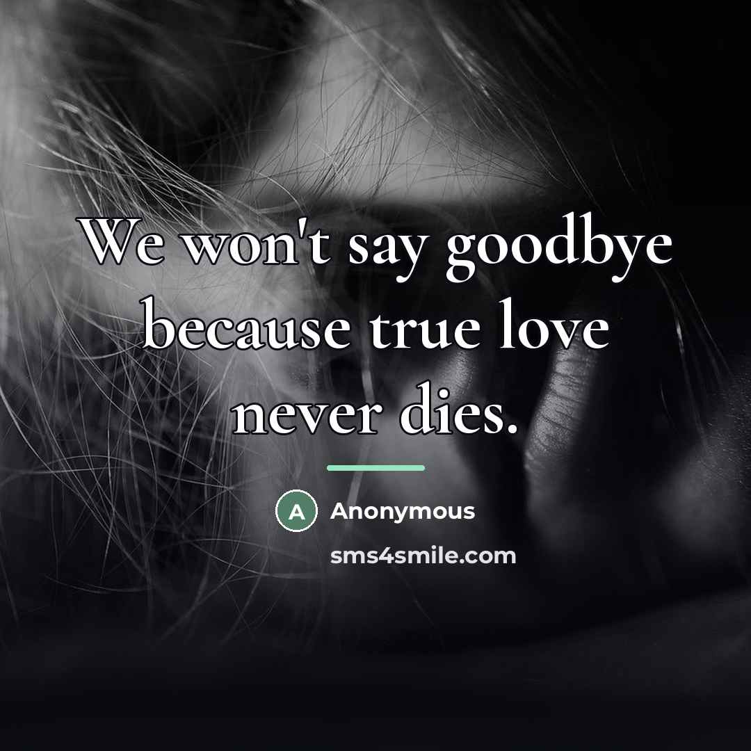 “We won't say goodbye because true love never dies.…” quote by Anonymous