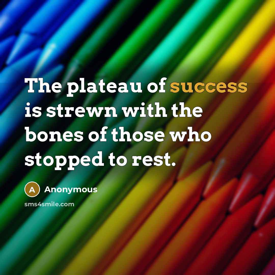 “The plateau of success is strewn with the bones of those who stopped to rest.” quote by Anonymous