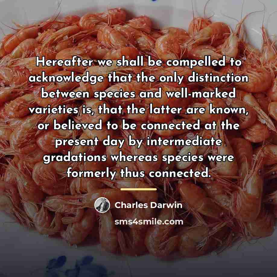 “Hereafter we shall be compelled to acknowledge that the only…” quote by Charles Darwin