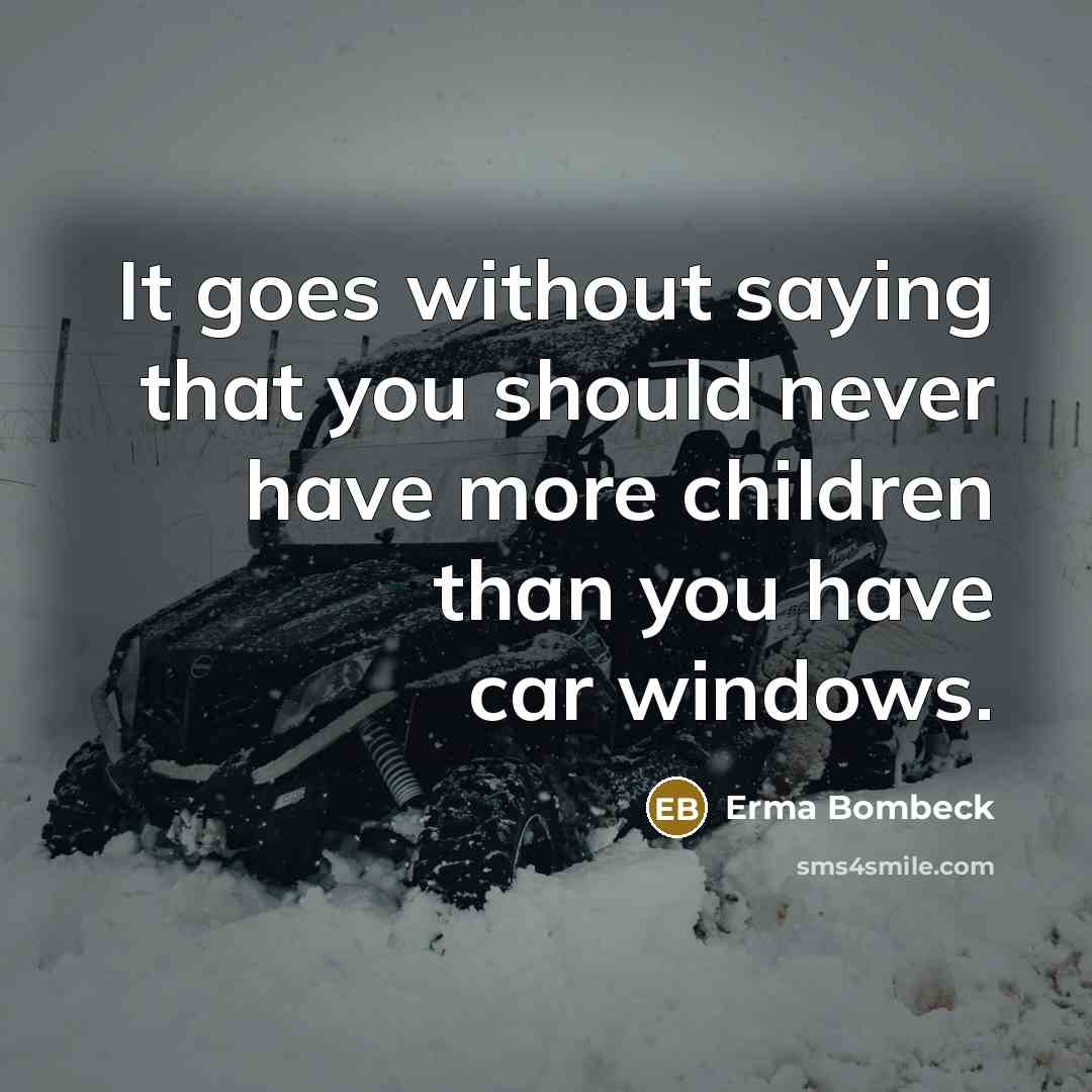 “It goes without saying that you should never have more…” quote by Erma Bombeck