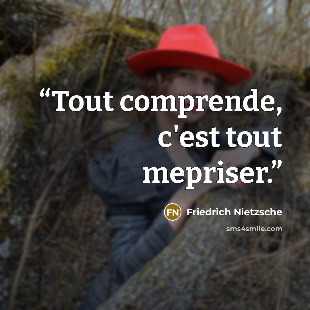 “Tout comprende, c'est tout mepriser.” quote by Friedrich Nietzsche