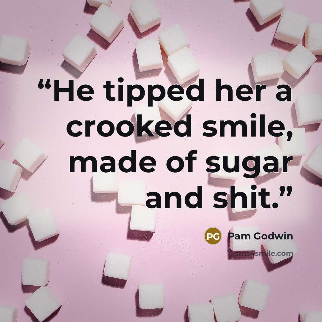 “He tipped her a crooked smile, made of sugar and shit.” quote by Pam Godwin