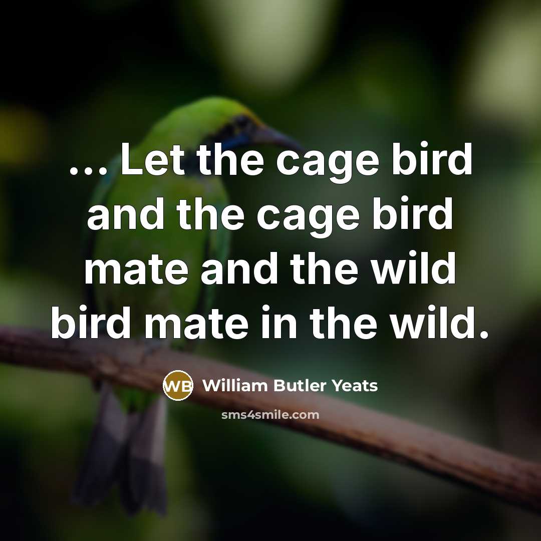 “... Let the cage bird and the cage bird mate…” quote by William Butler Yeats