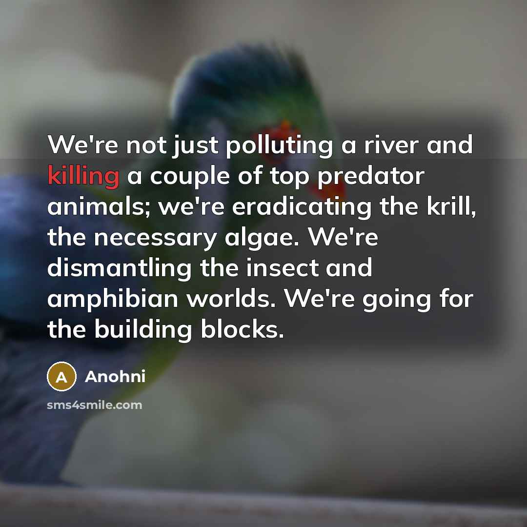 “We're not just polluting a river and killing a couple…” quote by Anohni
