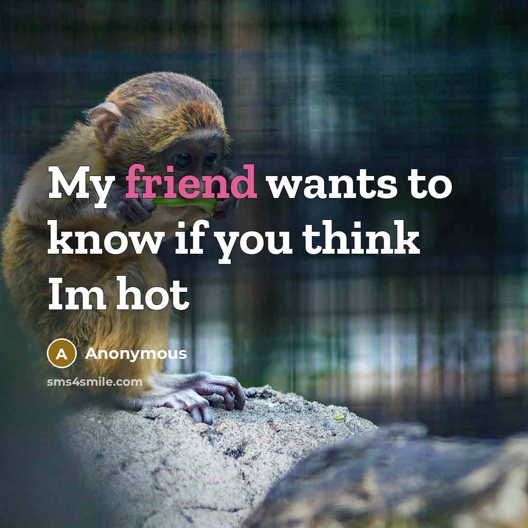 “My friend wants to know if you think Im hot…” quote by Anonymous