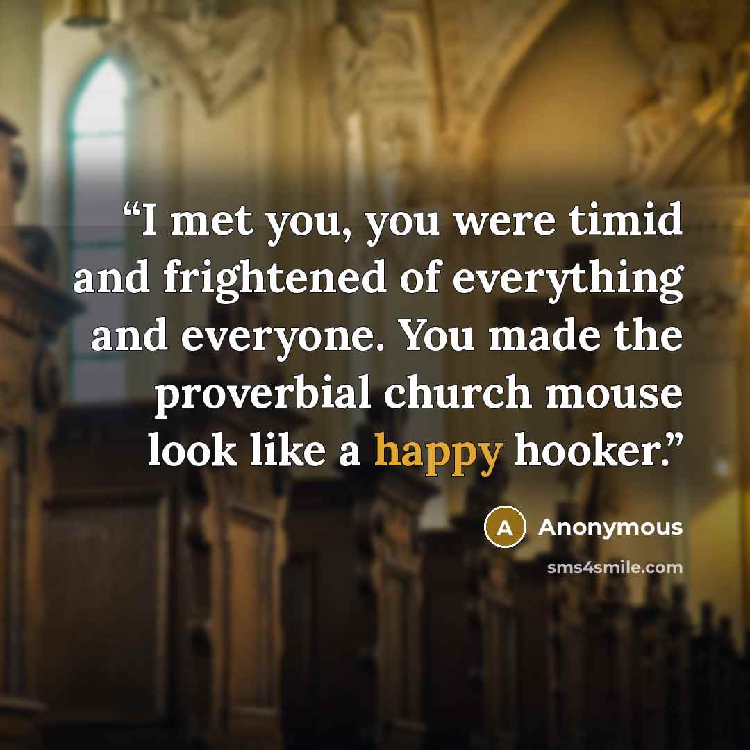 “I met you, you were timid and frightened of everything and everyone. You made the proverbial church mouse look like a happy hooker.” quote by Anonymous
