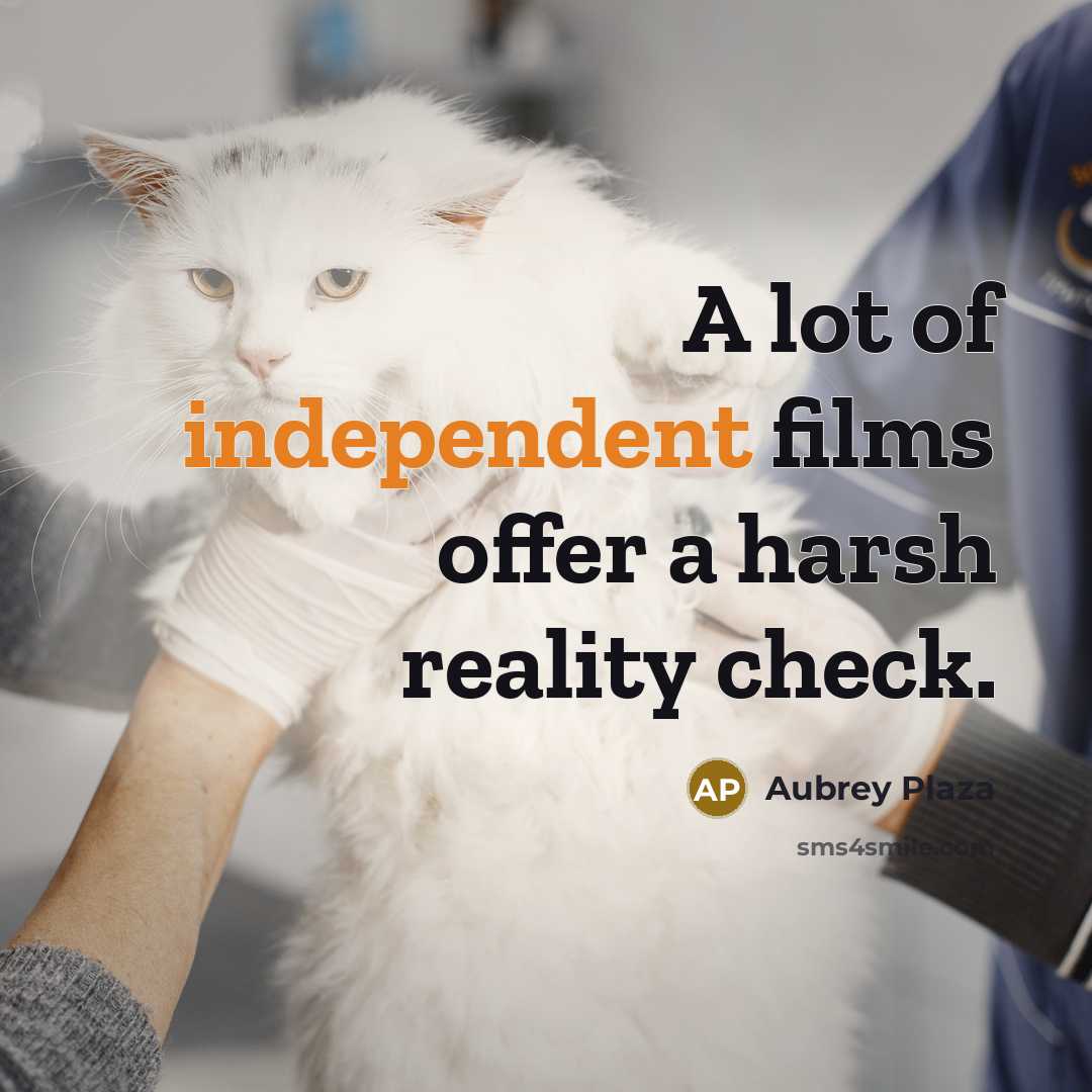 “A lot of independent films offer a harsh reality check.…” quote by Aubrey Plaza