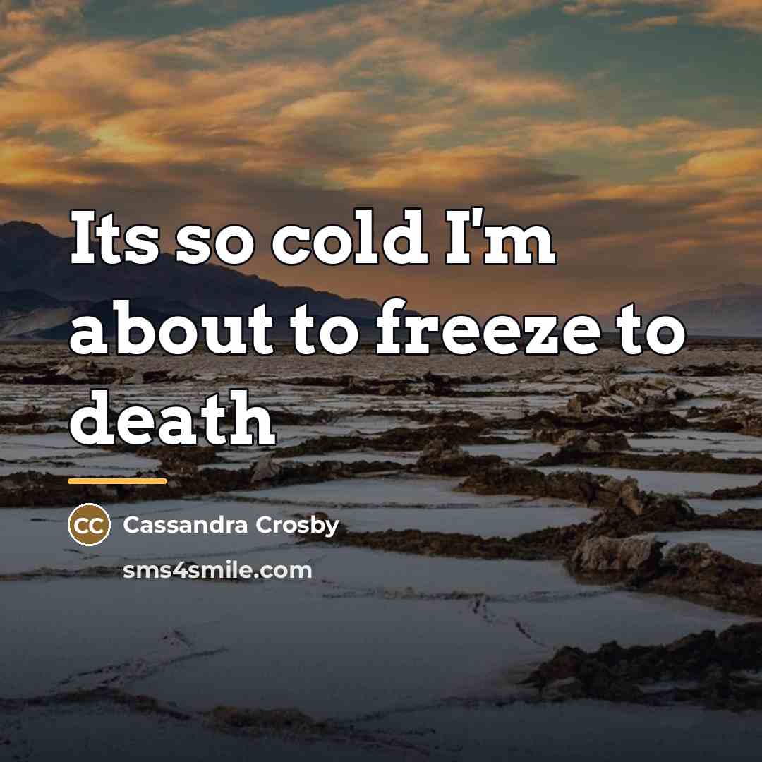“Its so cold I'm about to freeze to death…” quote by Cassandra Crosby