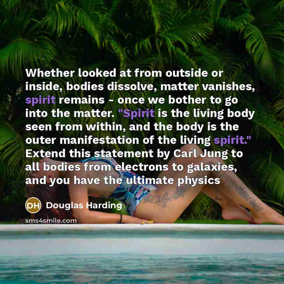 “Whether looked at from outside or inside, bodies dissolve, matter…” quote by Douglas Harding