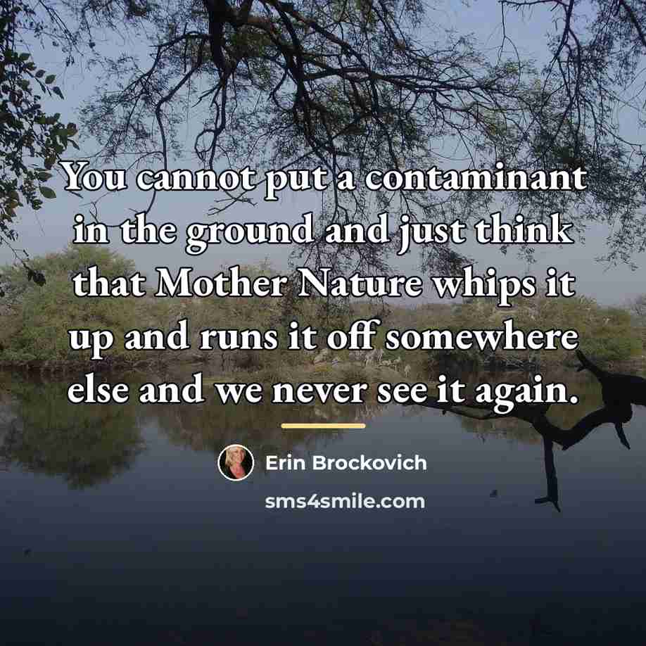 “You cannot put a contaminant in the ground and just…” quote by Erin Brockovich