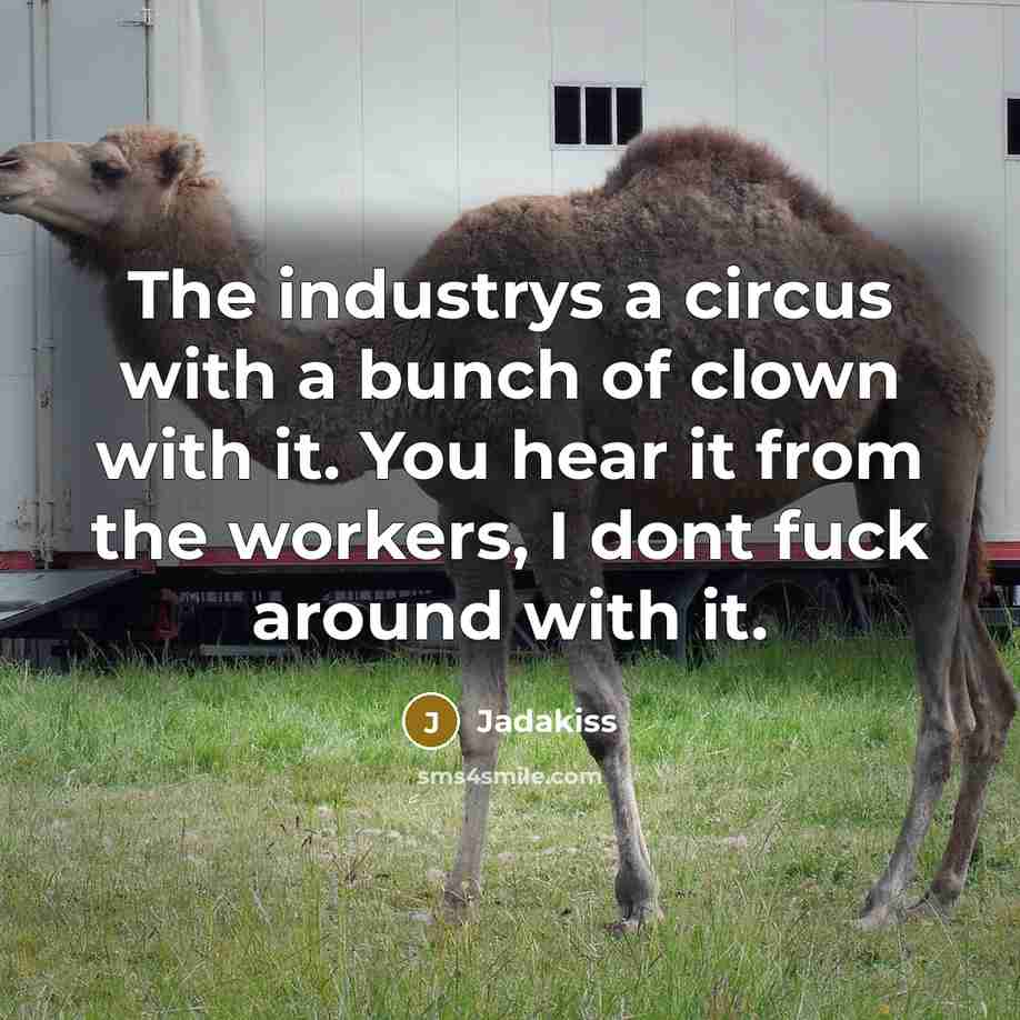 “The industrys a circus with a bunch of clown with it. You hear it from the workers, I dont fuck around with it.” quote by Jadakiss