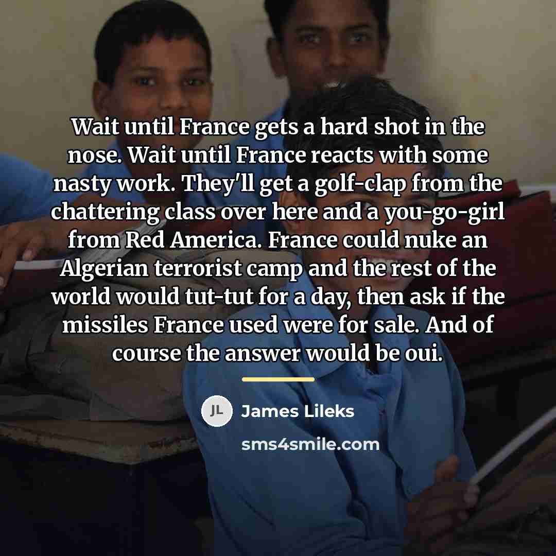 “Wait until France gets a hard shot in the nose.…” quote by James Lileks