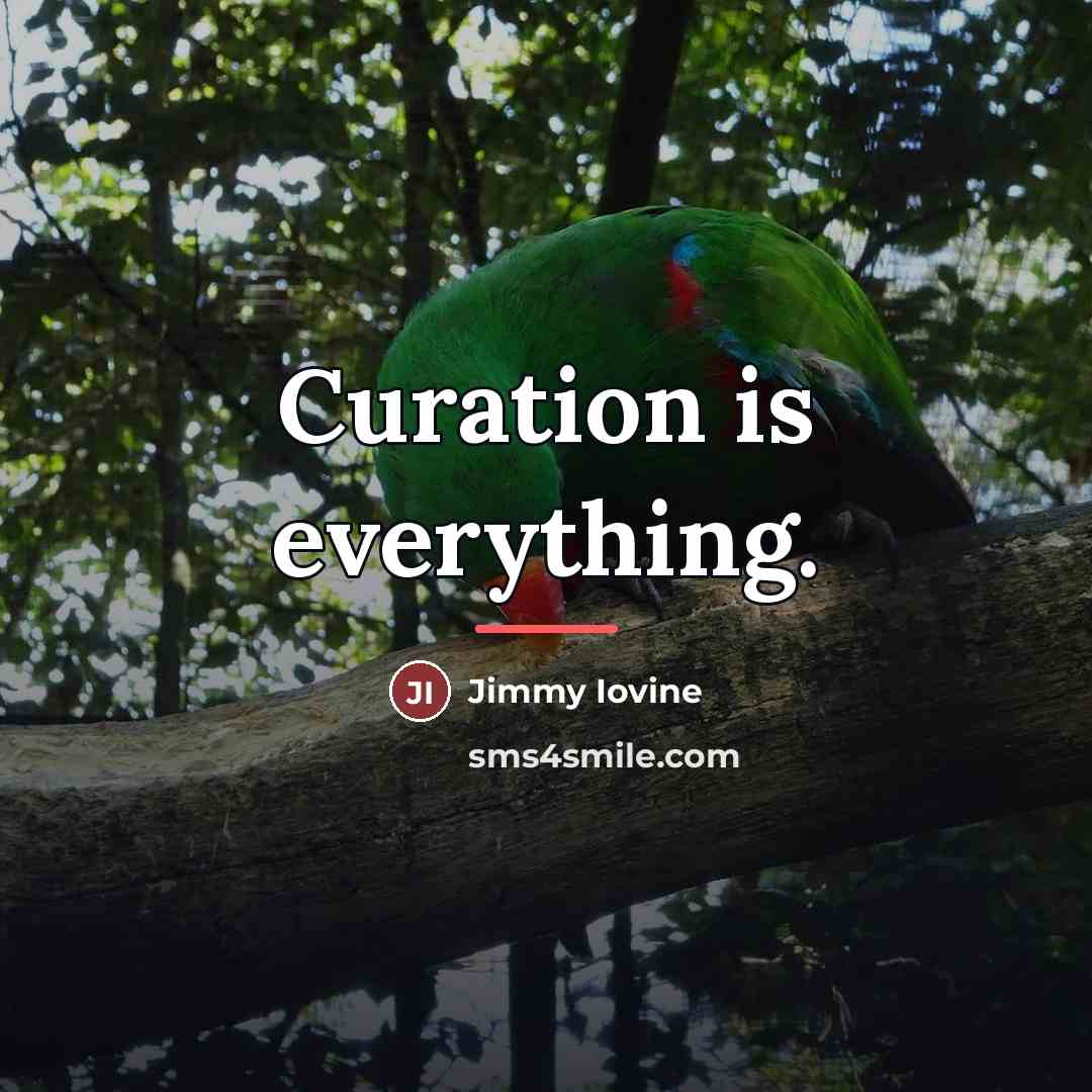 “Curation is everything.…” quote by Jimmy Iovine