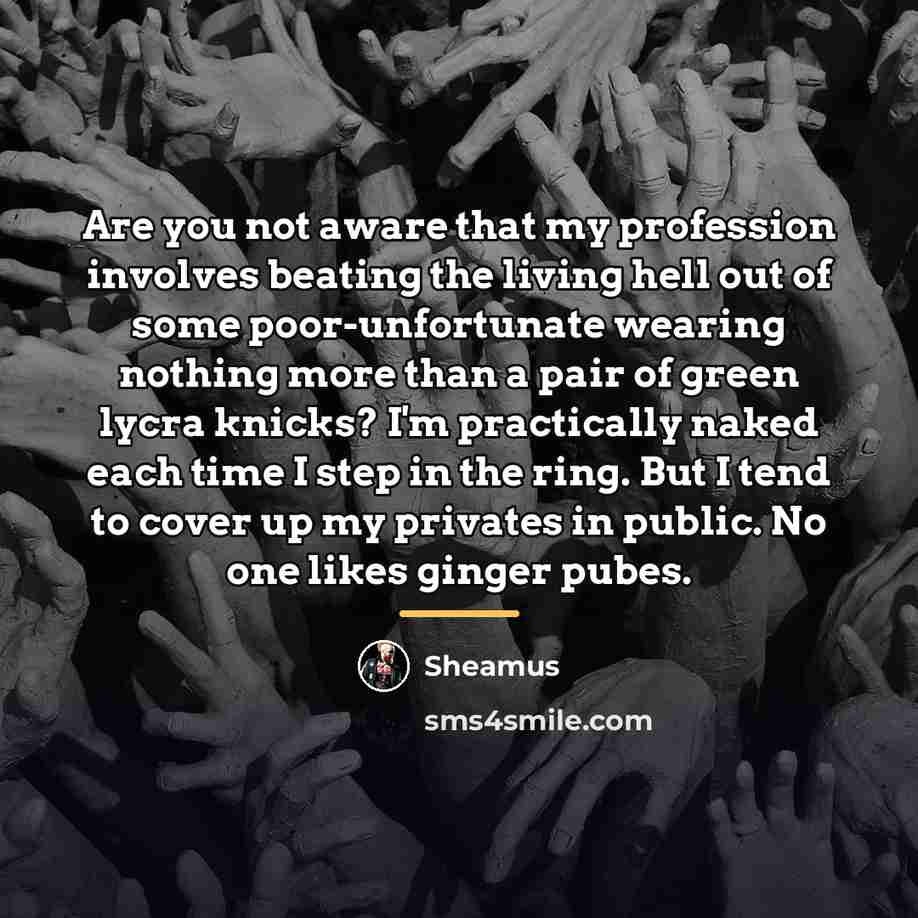 “Are you not aware that my profession involves beating the…” quote by Sheamus