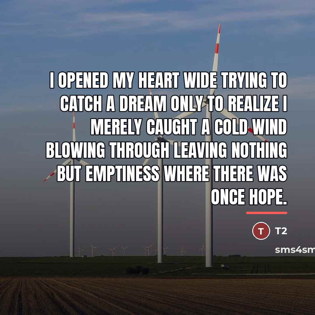 “I opened my heart wide trying to catch a dream…” quote by T2