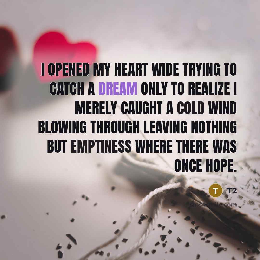 “I opened my heart wide trying to catch a dream only to realize I merely caught a cold wind blowing through leaving nothing but emptiness where there was once hope.” quote by T2