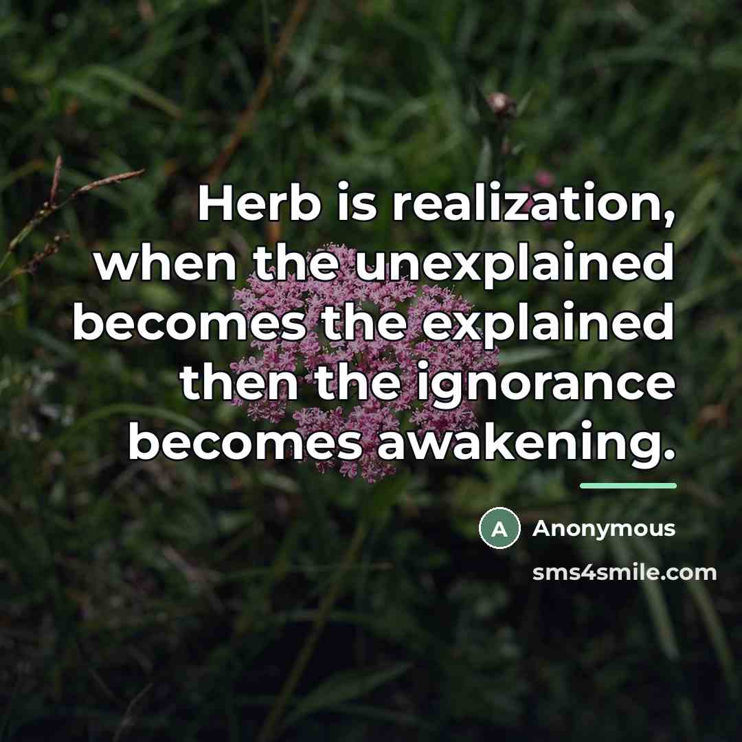 “Herb is realization, when the unexplained becomes the explained then…” quote by Anonymous