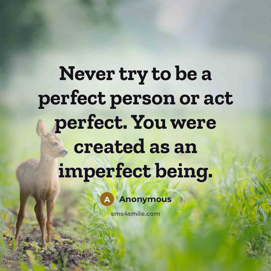 “Never try to be a perfect person or act perfect.…” quote by Anonymous
