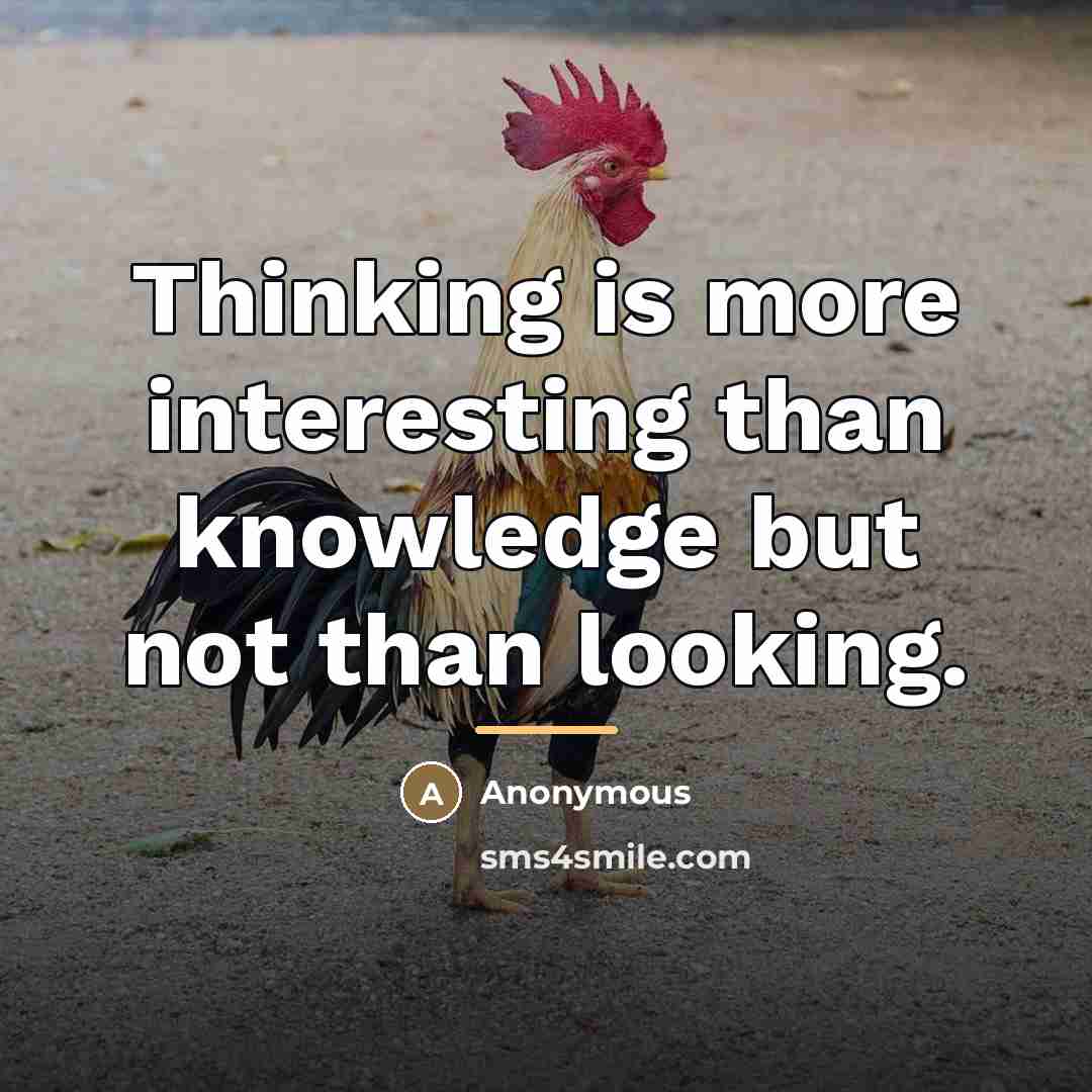 “Thinking is more interesting than knowledge but not than looking.…” quote by Anonymous
