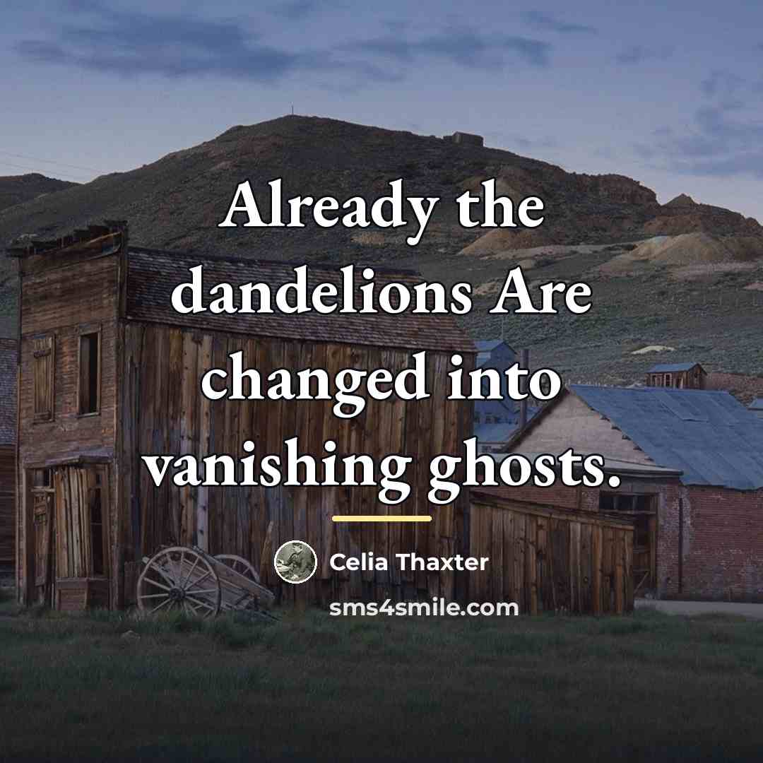 “Already the dandelions Are changed into vanishing ghosts.…” quote by Celia Thaxter