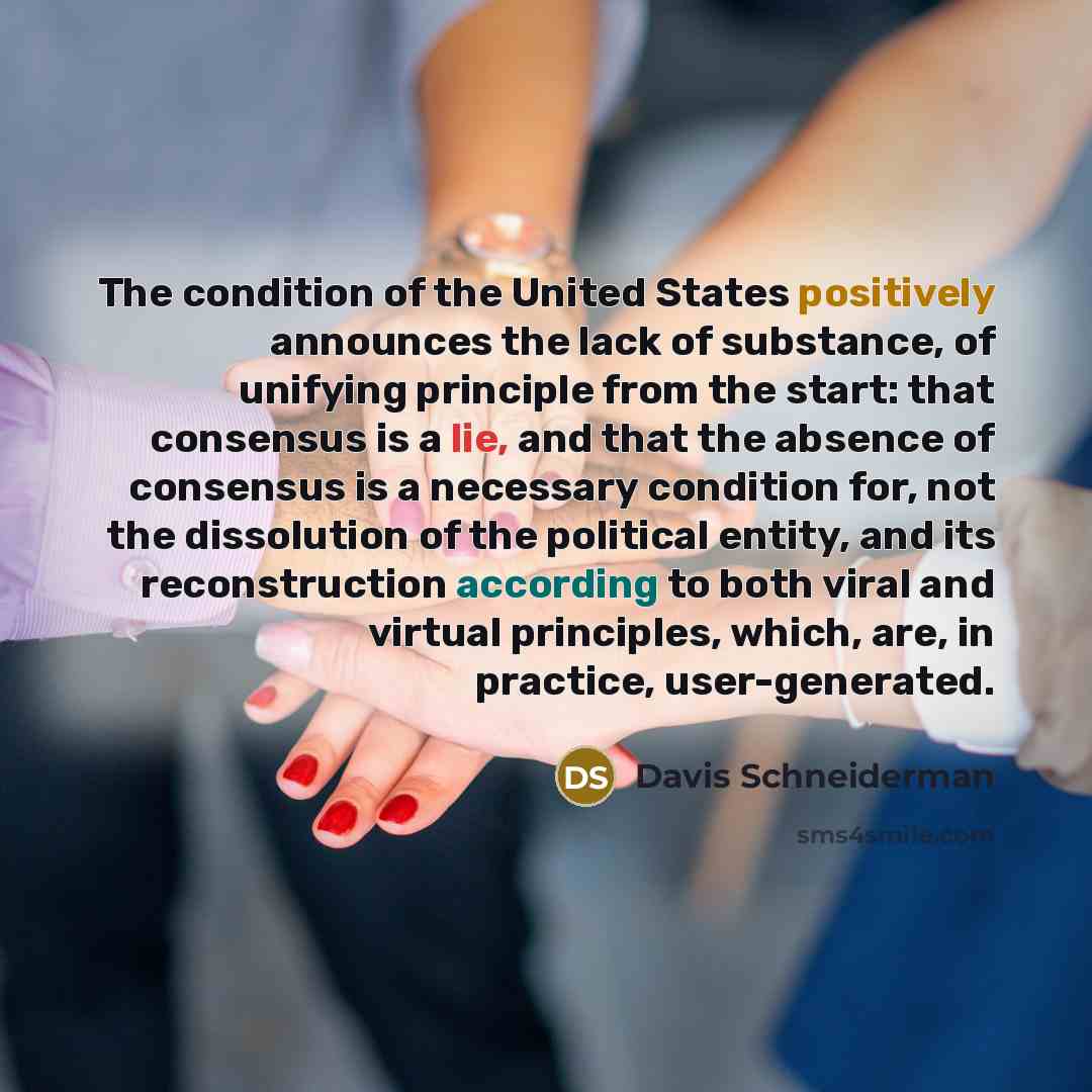 “The condition of the United States positively announces the lack…” quote by Davis Schneiderman