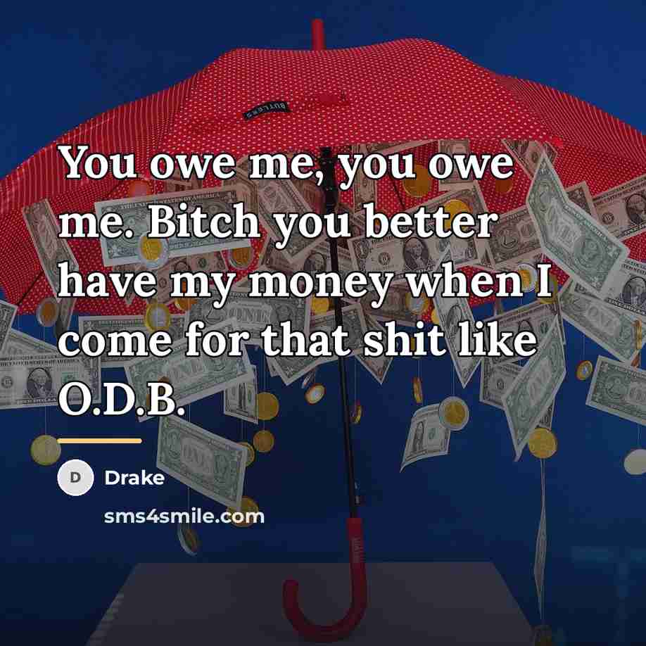 “You owe me, you owe me. Bitch you better have…” quote by Drake