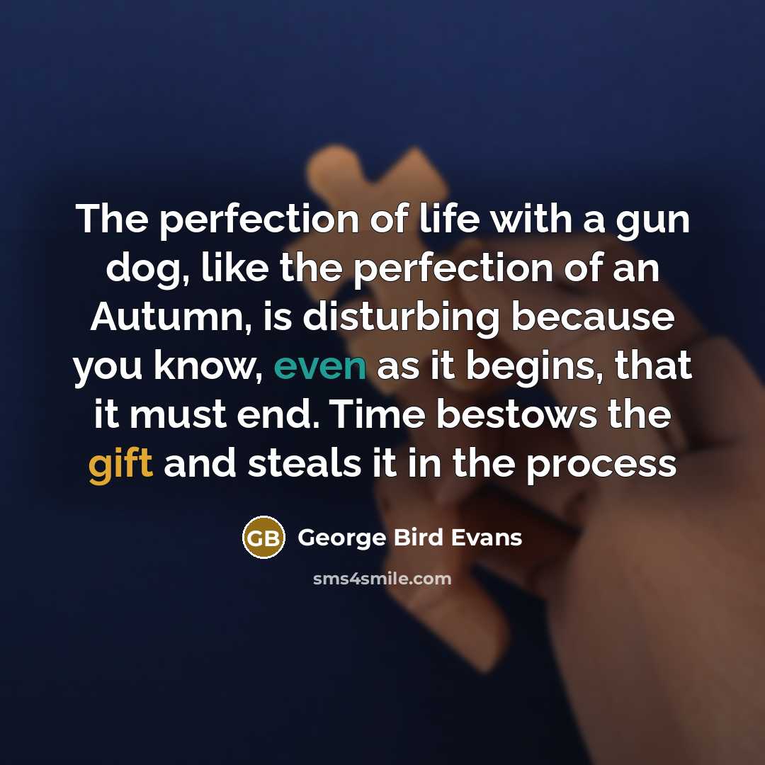 “The perfection of life with a gun dog, like the…” quote by George Bird Evans