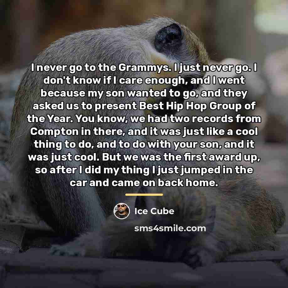 “I never go to the Grammys. I just never go.…” quote by Ice Cube