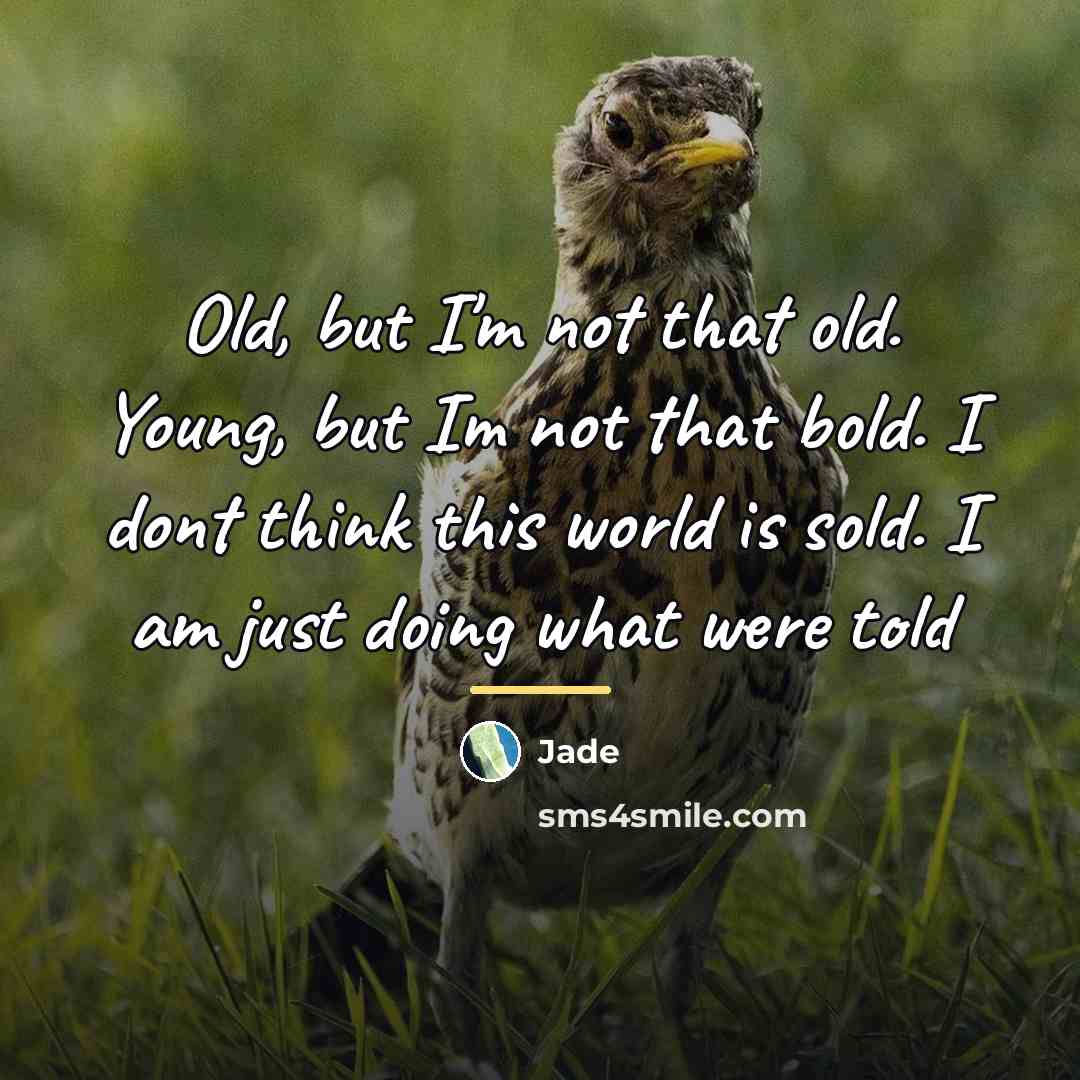 “Old, but I'm not that old. Young, but Im not…” quote by Jade