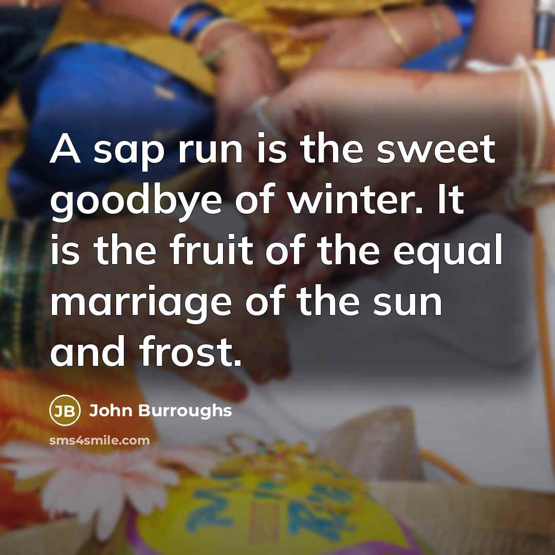 “A sap run is the sweet goodbye of winter. It…” quote by John Burroughs