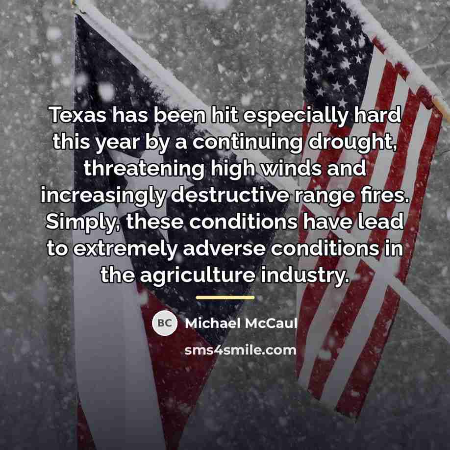 “Texas has been hit especially hard this year by a…” quote by Michael McCaul