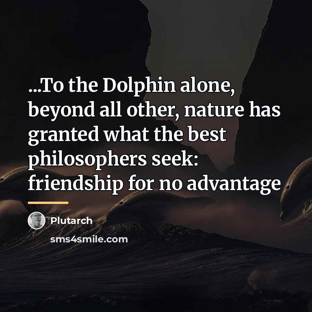 “...To the Dolphin alone, beyond all other, nature has granted…” quote by Plutarch