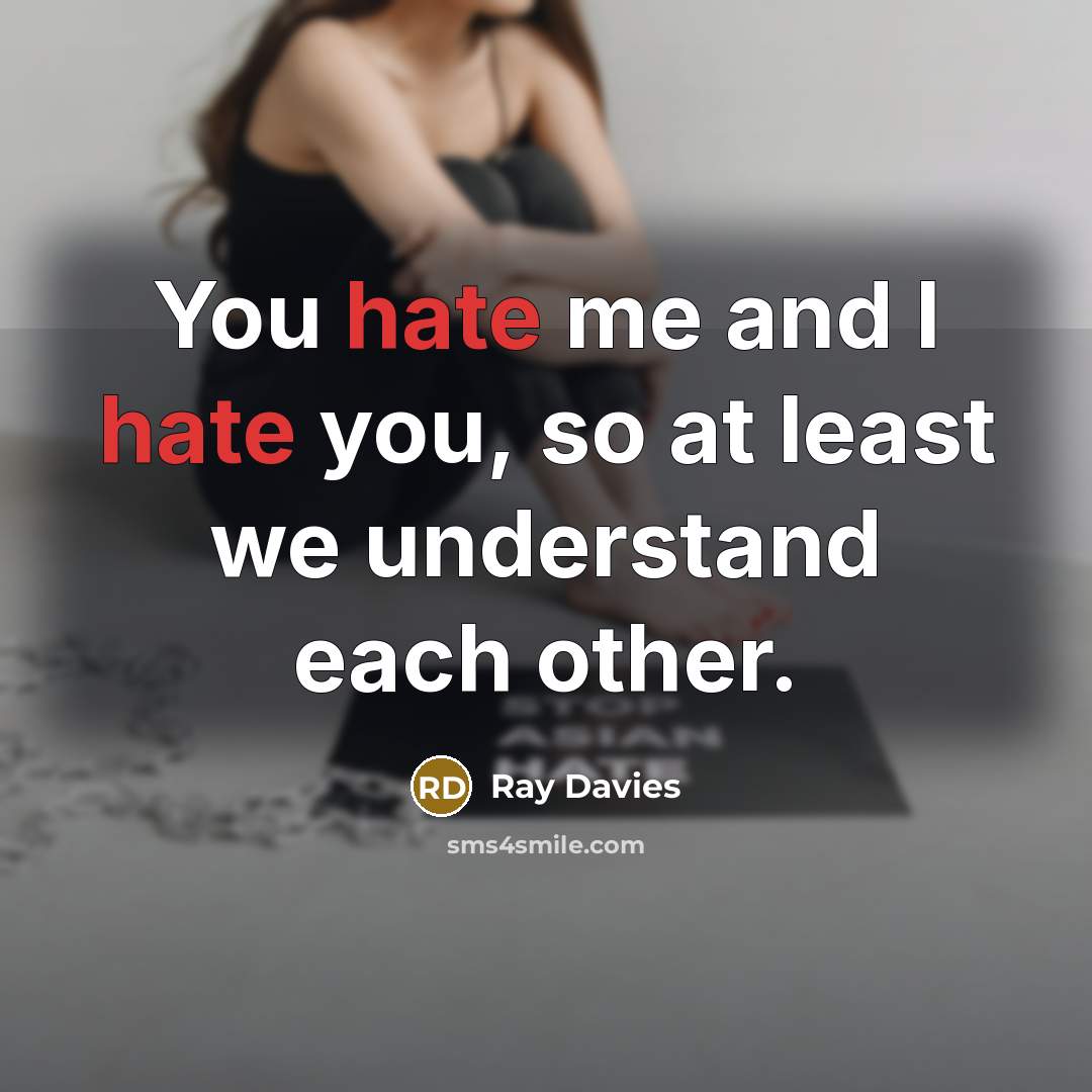 “You hate me and I hate you, so at least…” quote by Ray Davies