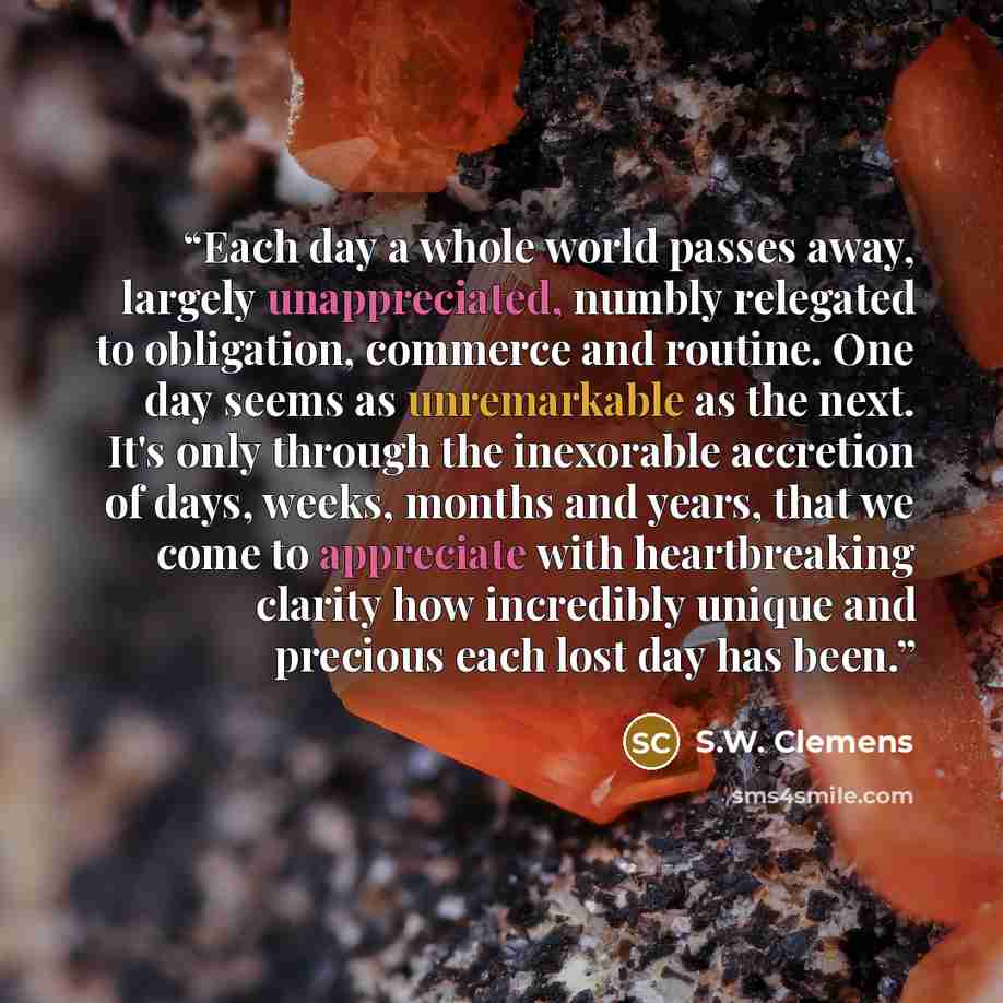 “Each day a whole world passes away, largely unappreciated, numbly relegated to obligation, commerce and routine. One day seems as unremarkable as the next. It's only through the inexorable accretion of days, weeks, months and years, that we come to appreciate with heartbreaking clarity how…” quote by S.W. Clemens