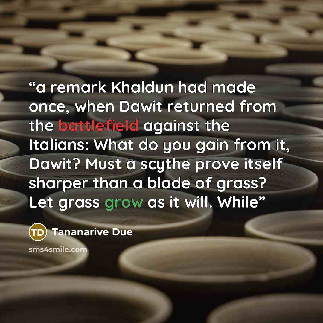 “a remark Khaldun had made once, when Dawit returned from the battlefield against the Italians: What do you gain from it, Dawit? Must a scythe prove itself sharper than a blade of grass? Let grass grow as it will. While” quote by Tananarive Due