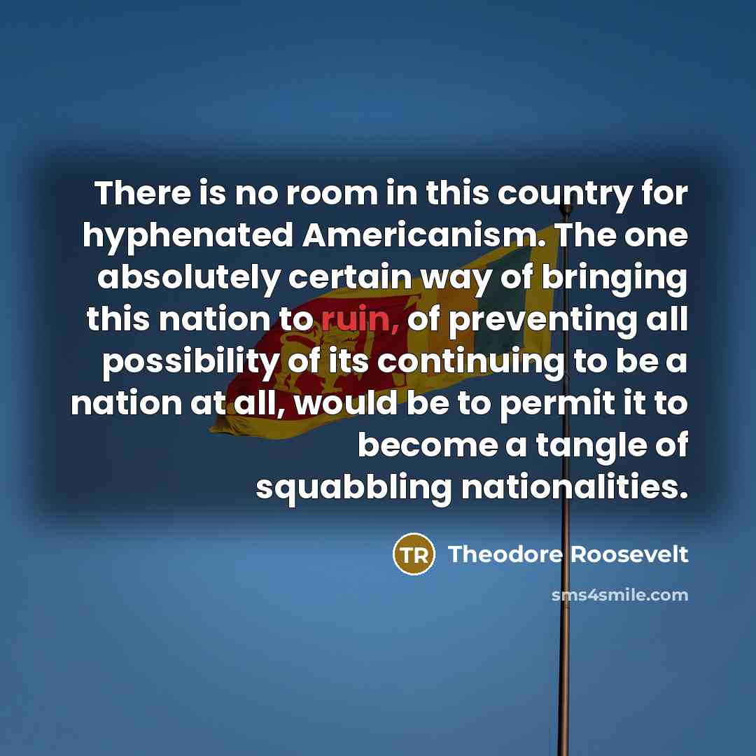 “There is no room in this country for hyphenated Americanism.…” quote by Theodore Roosevelt