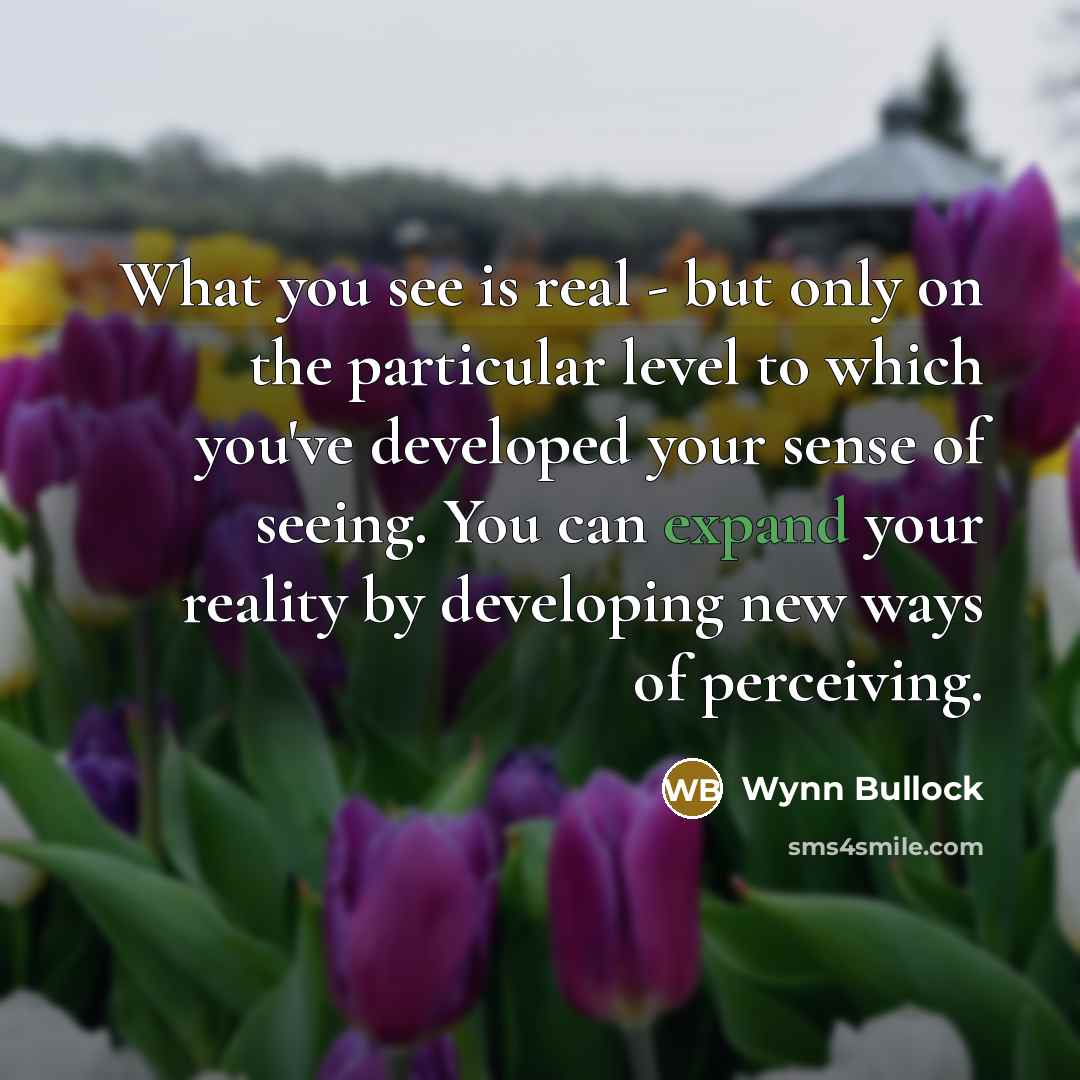 “What you see is real - but only on the…” quote by Wynn Bullock
