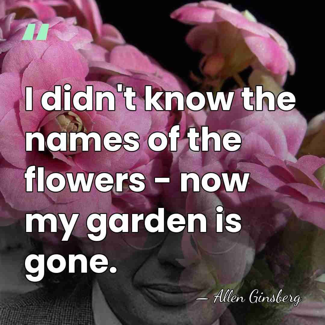 I didn't know the names of the flowers - now my garden&hellip; - Allen Ginsberg