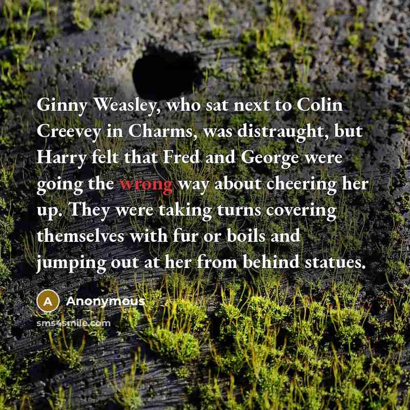 “Ginny Weasley, who sat next to Colin Creevey in Charms,…” quote by Anonymous