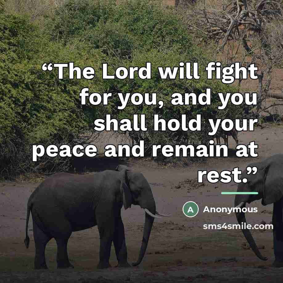 “The Lord will fight for you, and you shall hold your peace and remain at rest.” quote by Anonymous